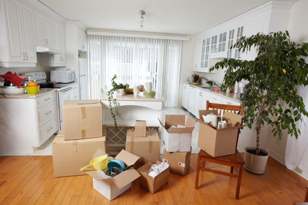 Move In and Move Out Cleaning